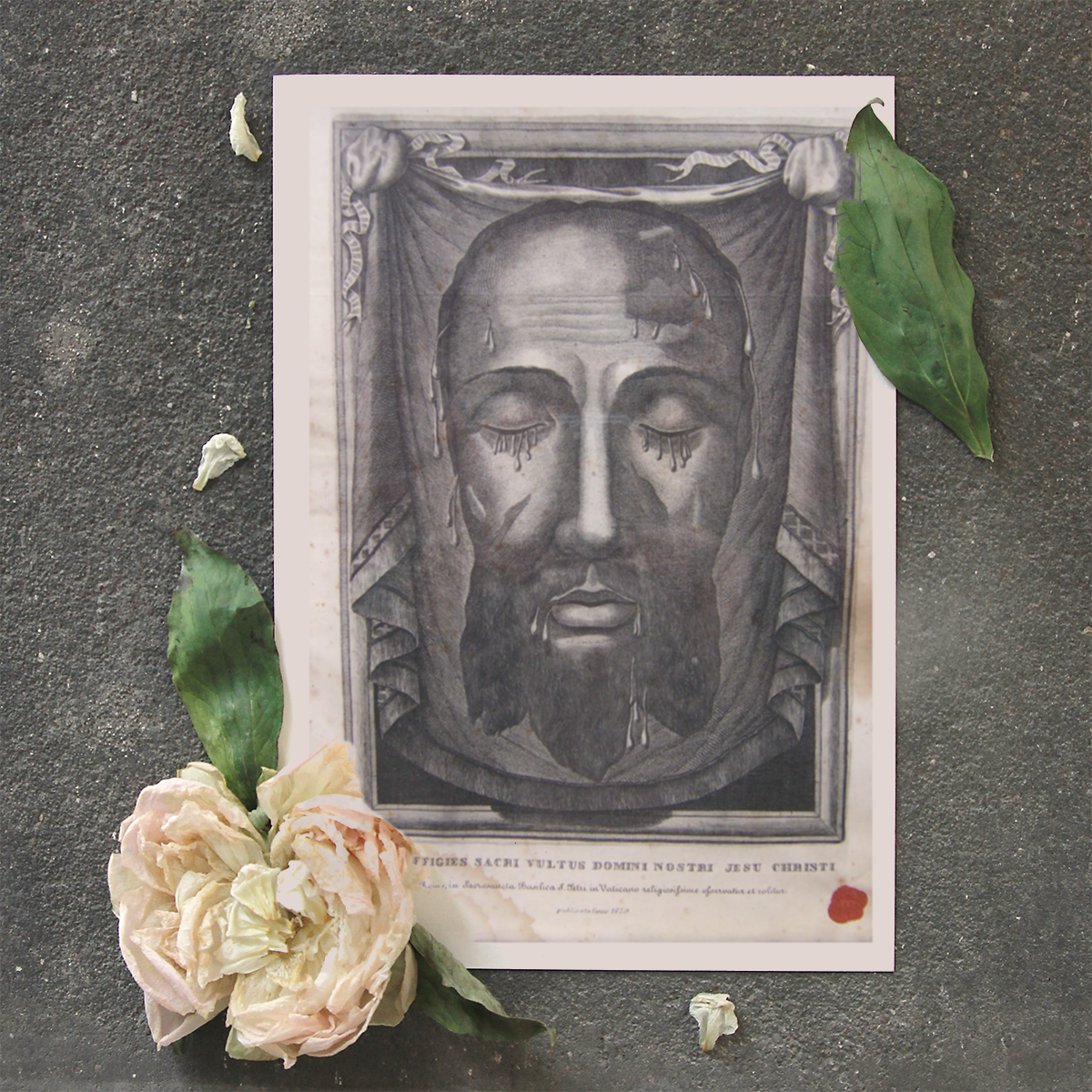 Greeting Card Folded - Holy Face Relic